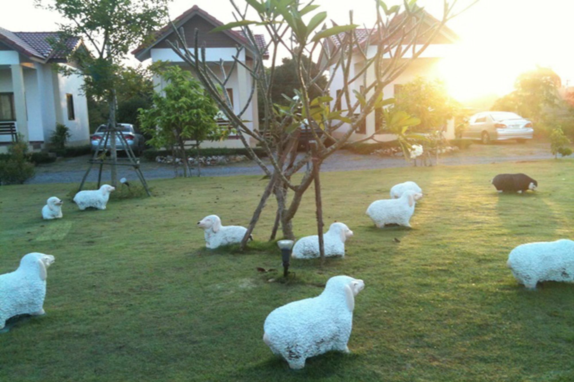 Baan Kinlom Chom Daw Khao Yai Hotel Mu Si Exterior photo